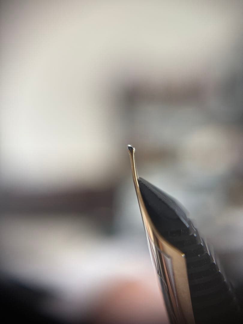 ペリカン万年筆限定品、ゴルフ