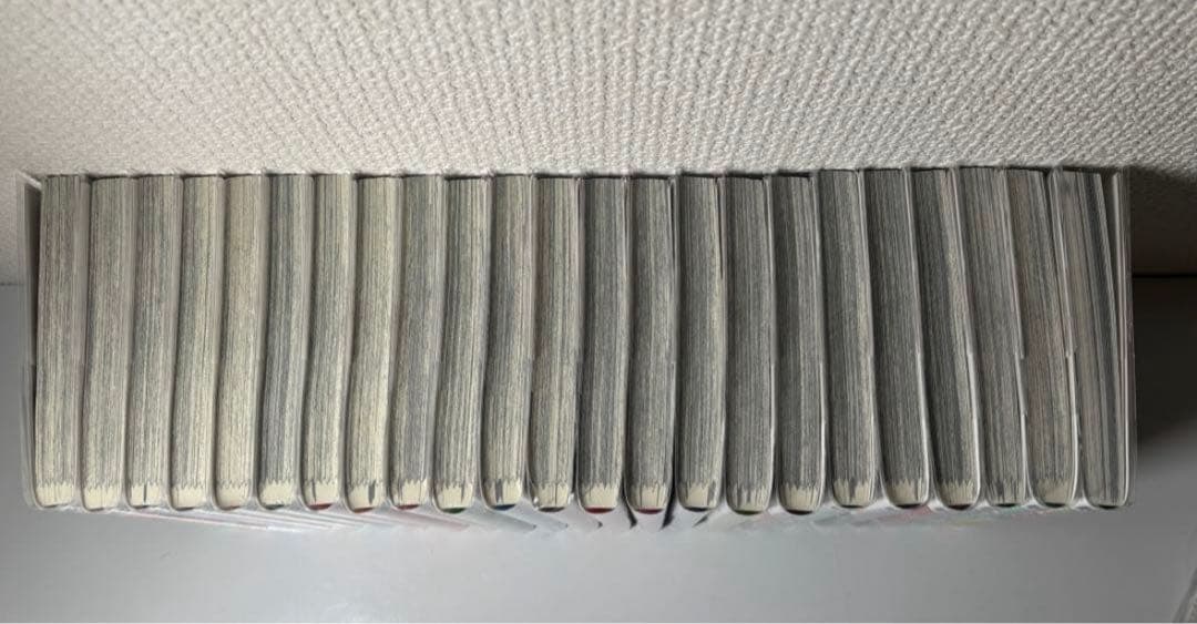 ウィンドブレーカー 1〜22巻 + 公式キャラクターガイドブック にいさとる