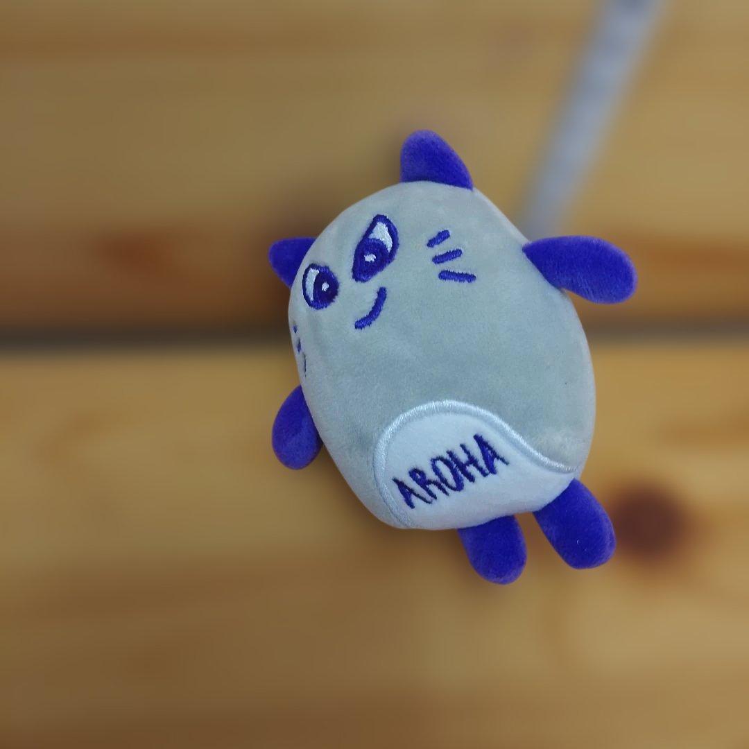 ASTRO アストロ ラキ WOOAH ウア