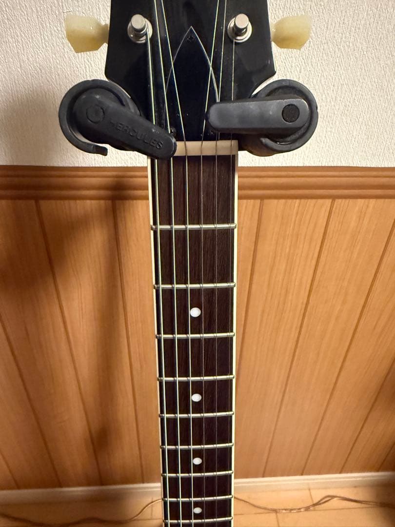 EXRUBATO-STD/S-JT セミアコ