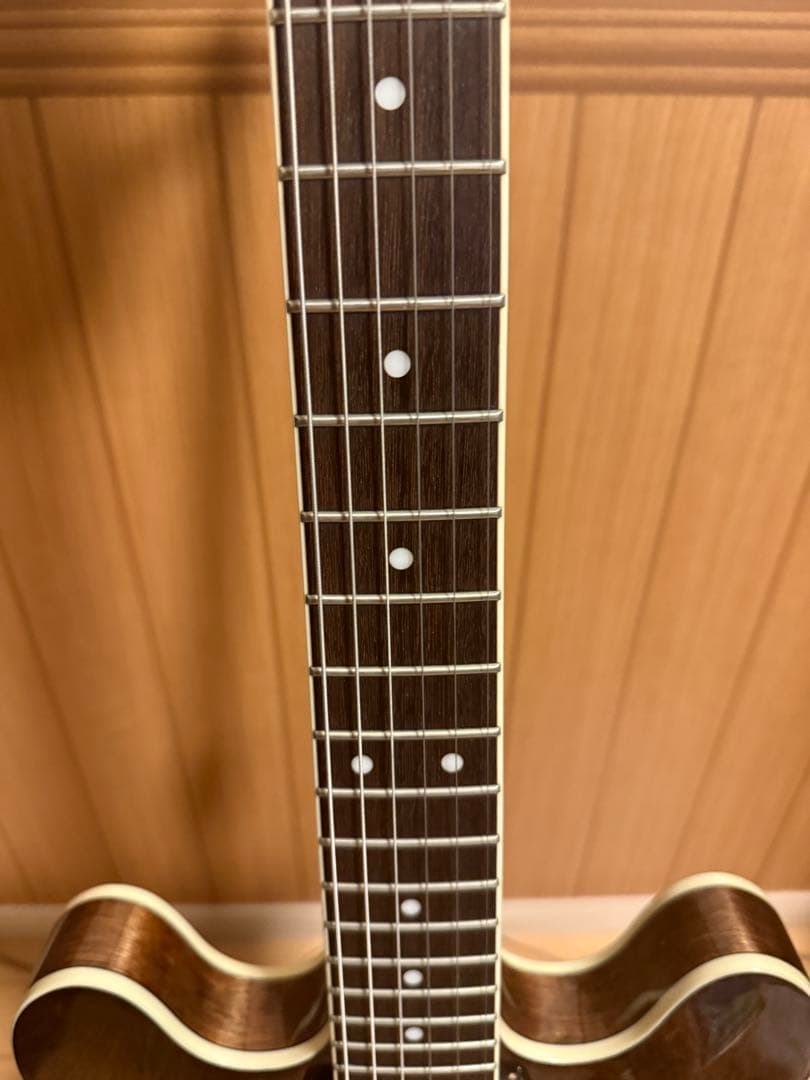 EXRUBATO-STD/S-JT セミアコ