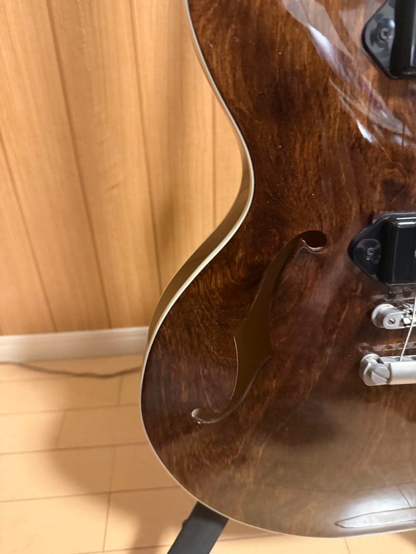 EXRUBATO-STD/S-JT セミアコ