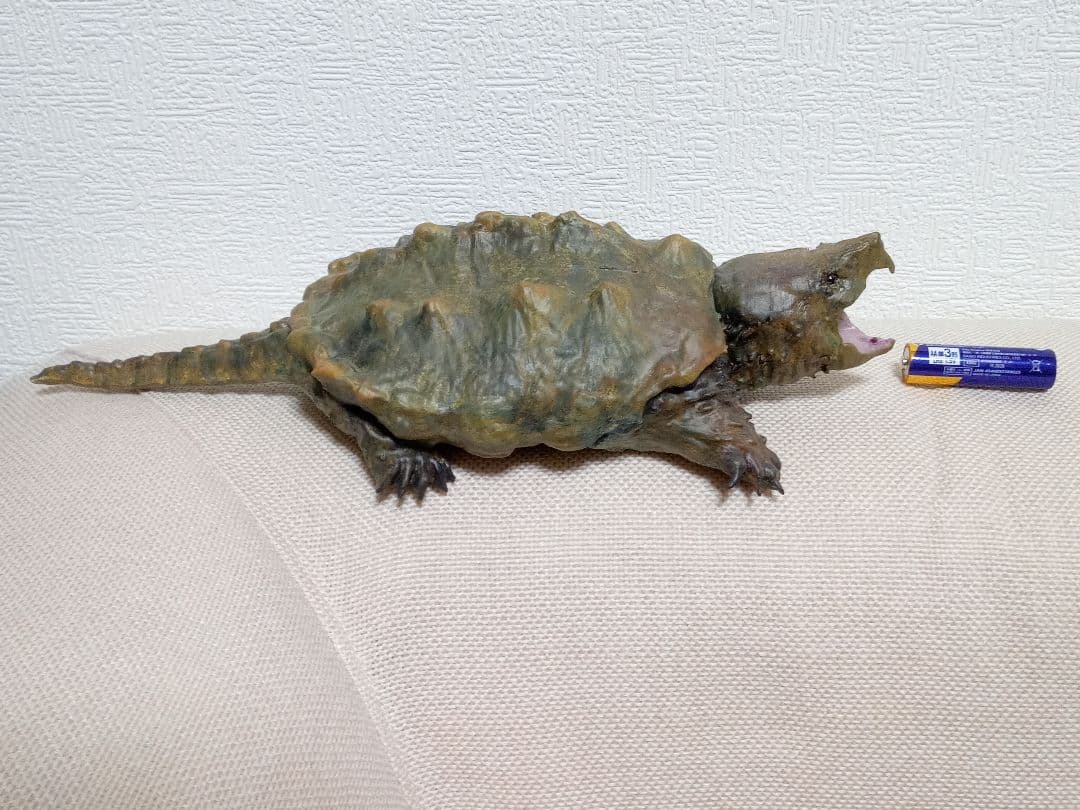 ワニガメフィギュア