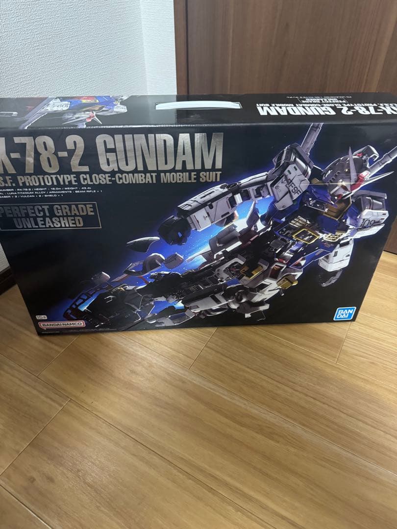 RX-78-2 GUNDAM PG プラモデル 未組立