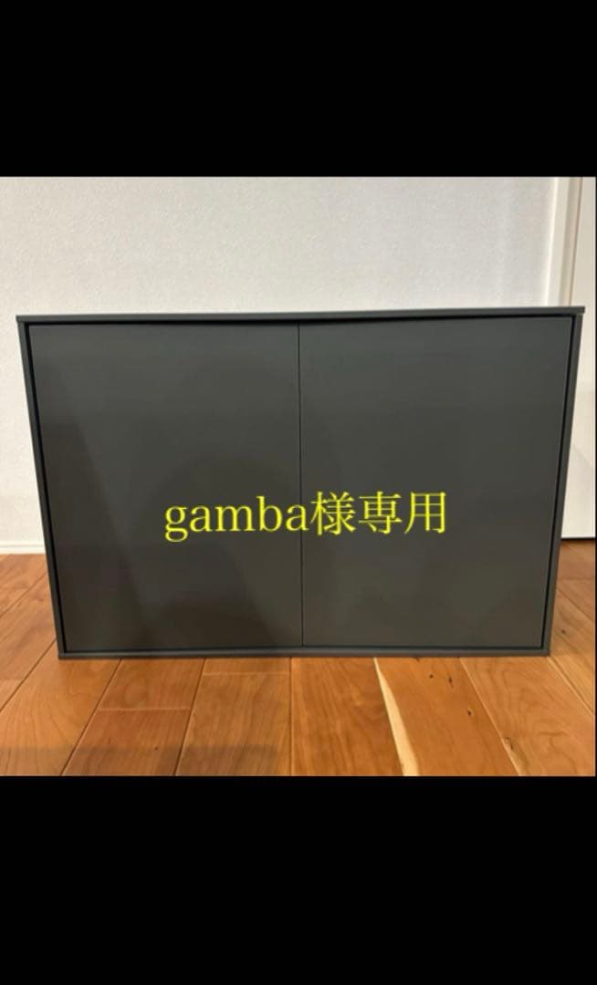 サンワカンパニー　ピッタラ