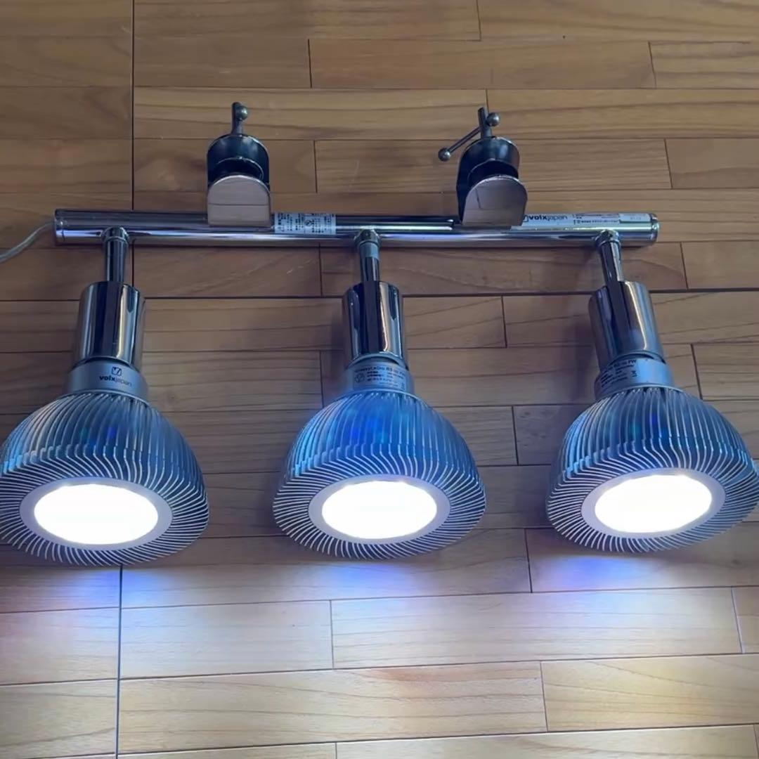 ボルクスジャパン グラッシーレディオRS122（フレッシュW）&レディオクランプ