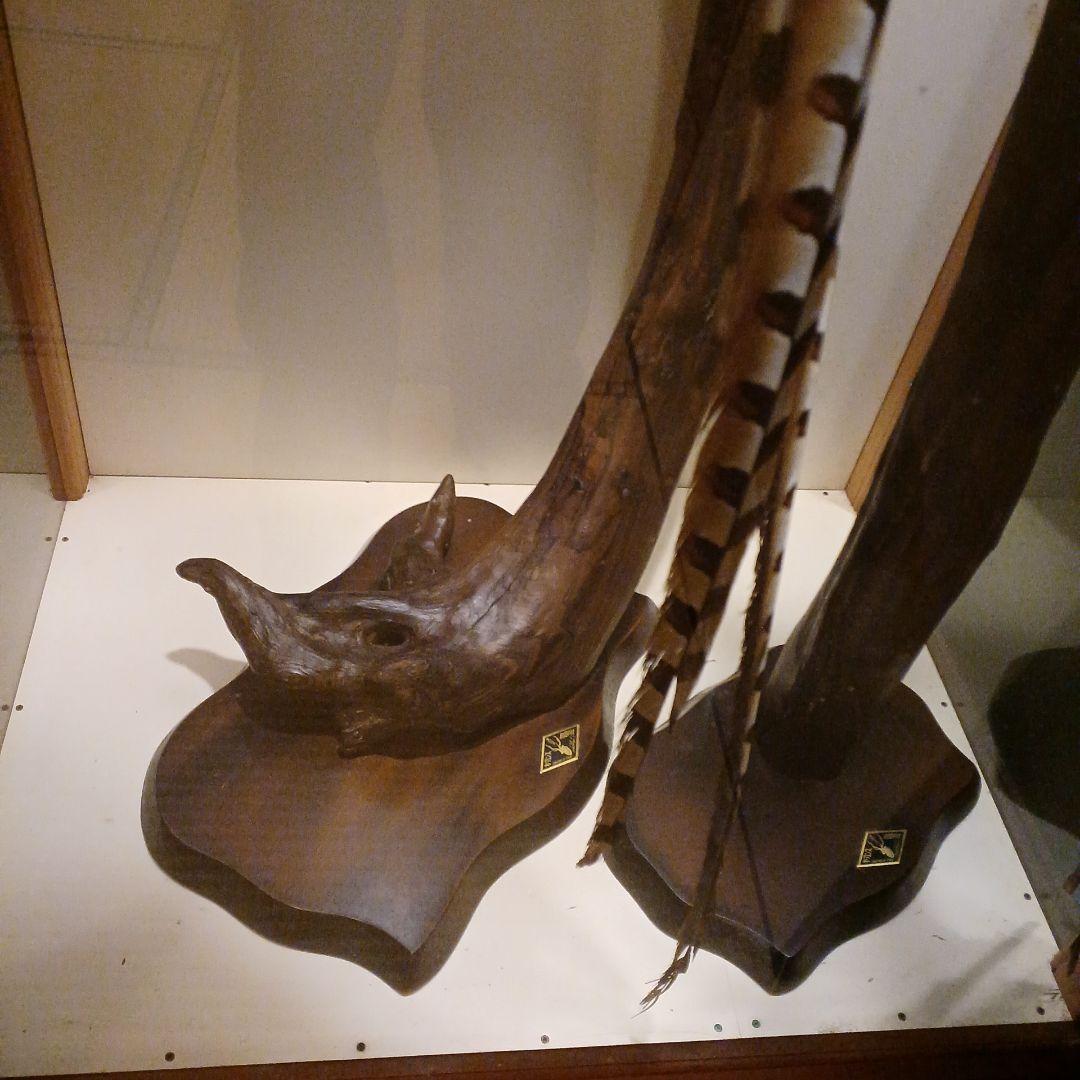 剥製ケース付き