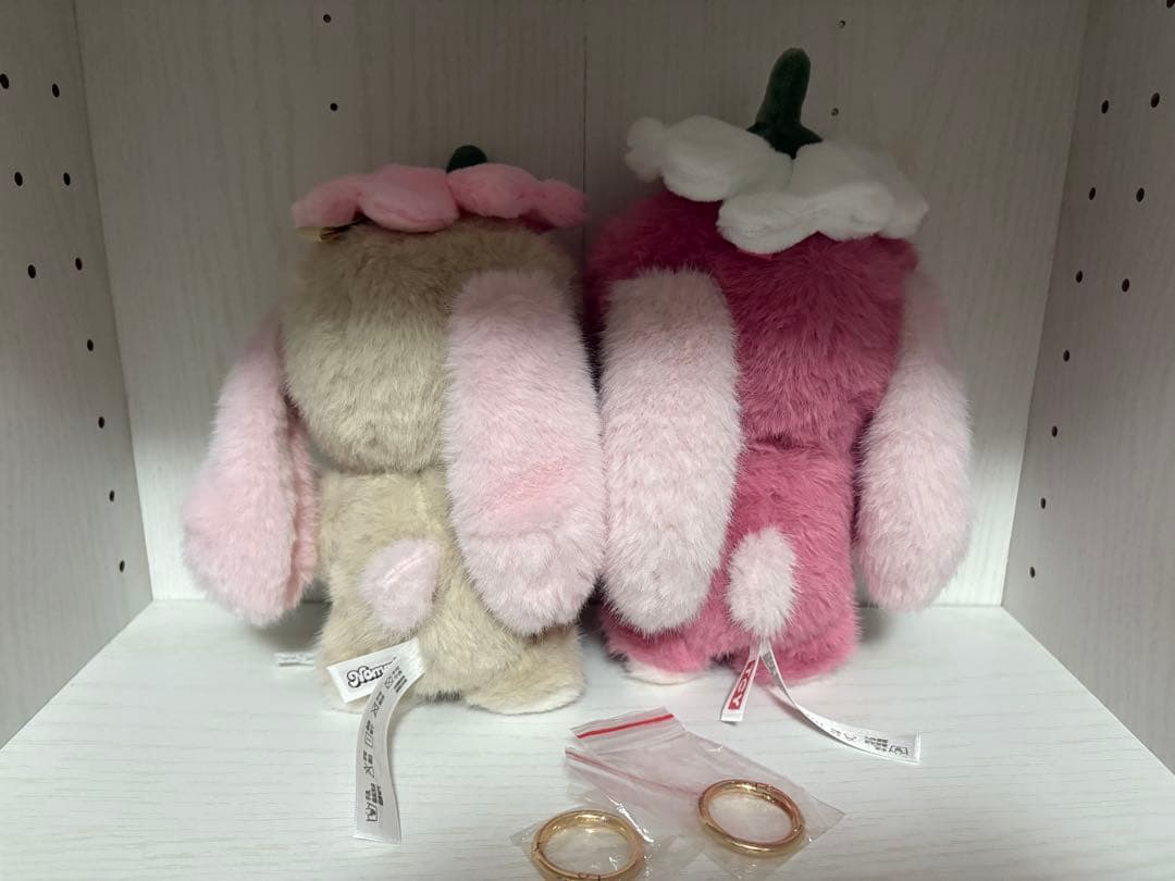 Nommi ガーデン まとめ売り