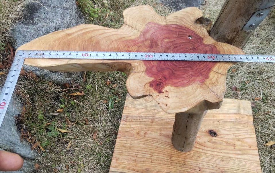 キャットタワー