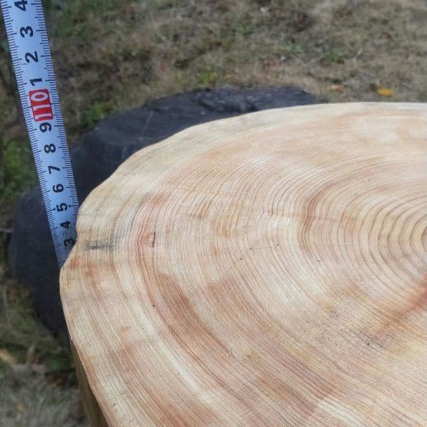 キャットタワー