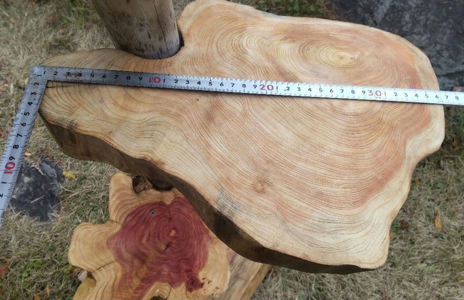 キャットタワー