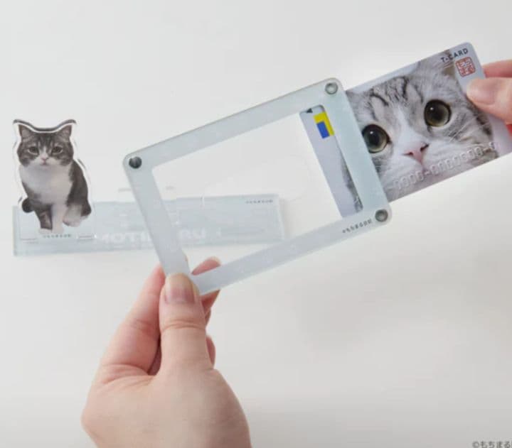 もちまる日記　もち様　アクリルスタンド　カードスタンド　202307052333