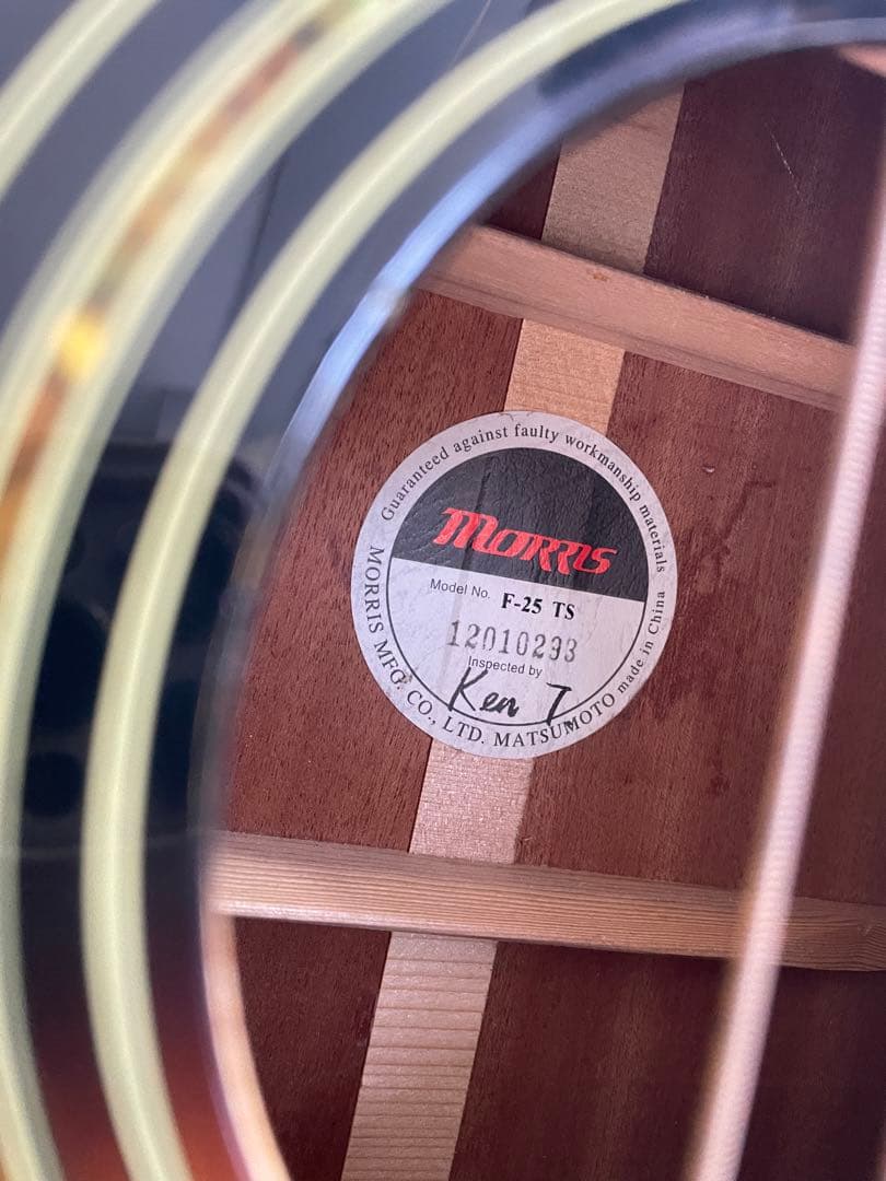 Morris(モーリス) / F-25 TS - アコーステックギター