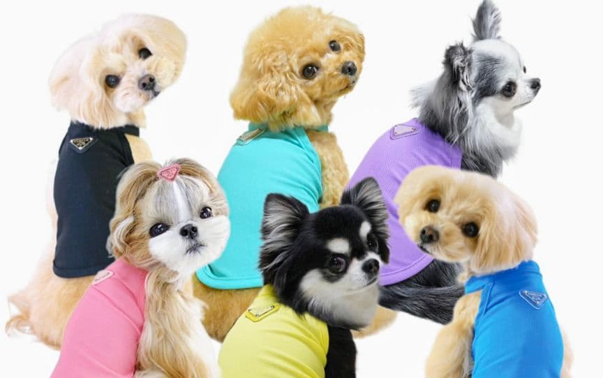 Chic Mesh タンクBlack＆Salmon　サーカスサーカスcircus