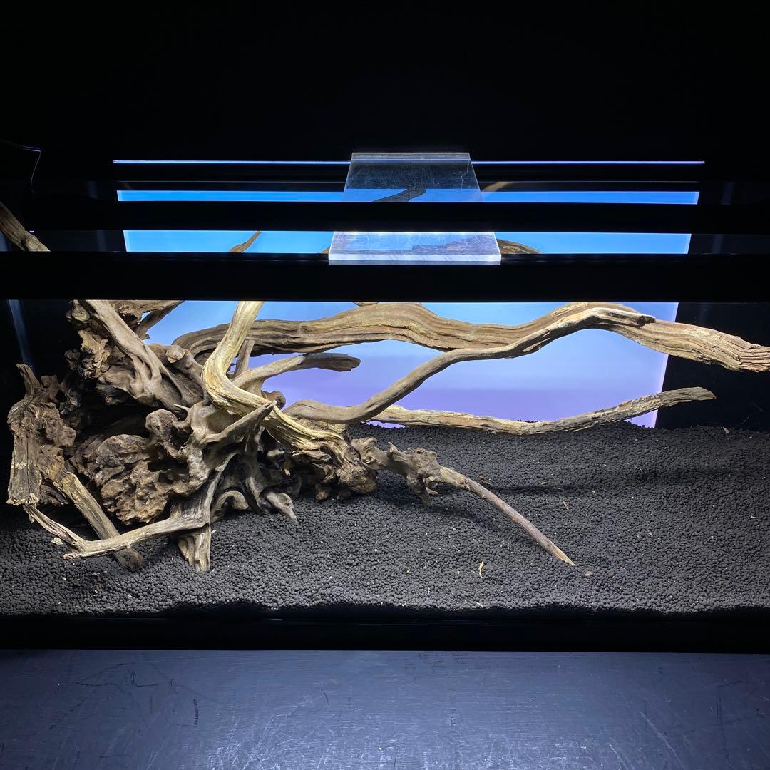 MSRW-6335 天然流木レイアウトセット　スリムウッド　アクアリウム