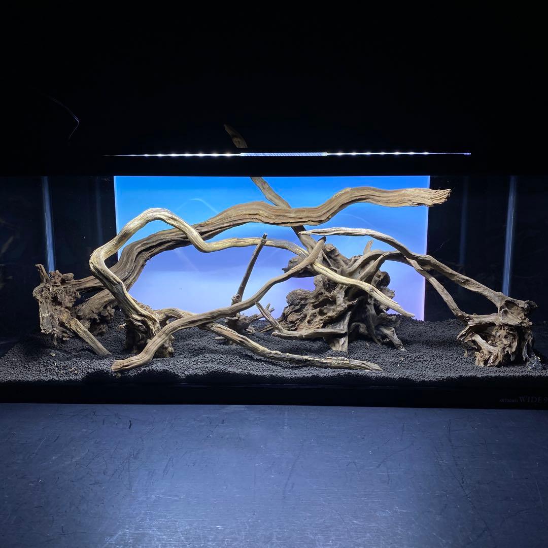 MSRW-6335 天然流木レイアウトセット　スリムウッド　アクアリウム