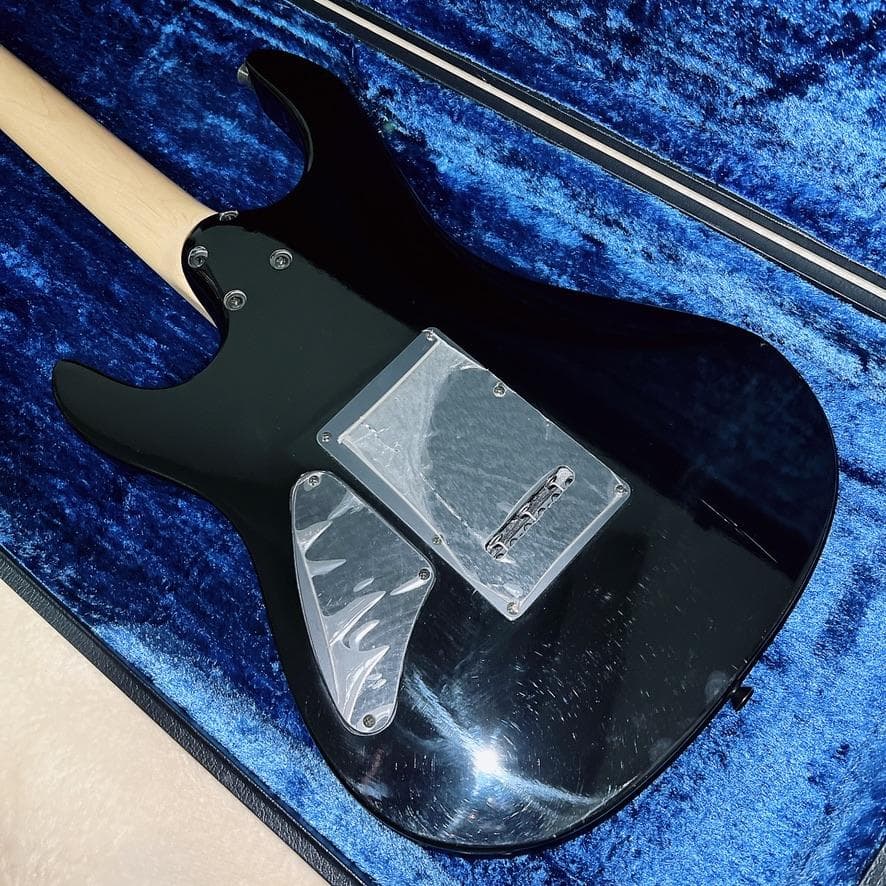 AriaProⅡ アリア ARIA magna series マグナシリーズ