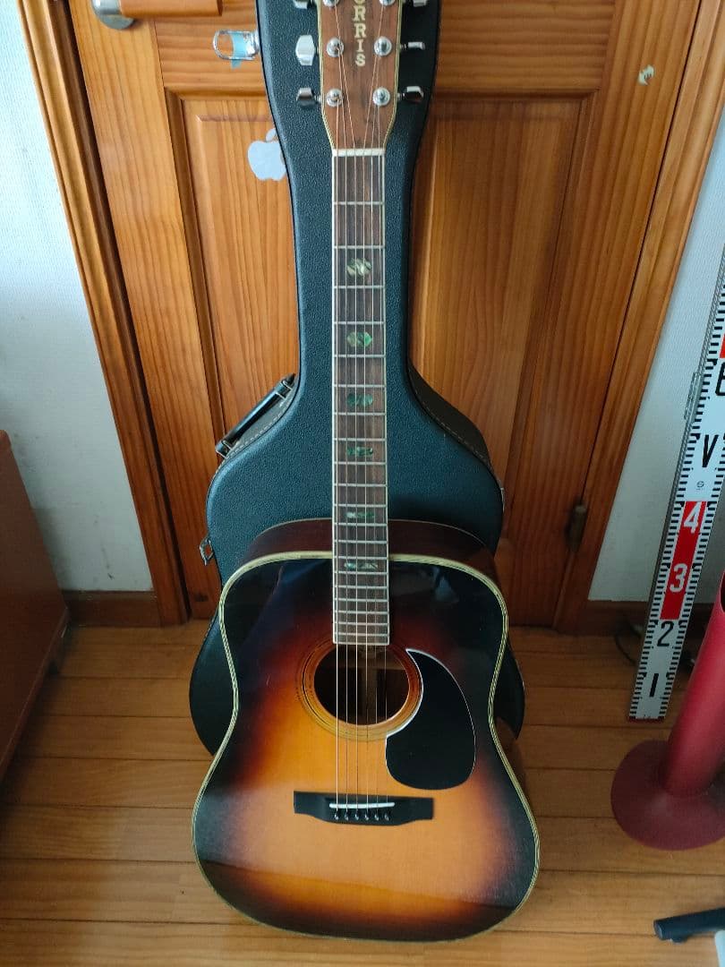 Morris アコースティックギター、レアカラー