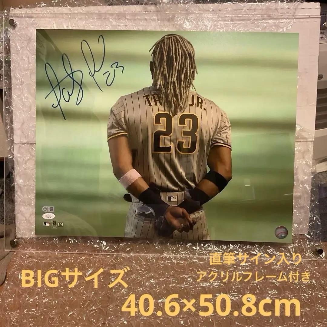 Femando Tatis Jr 直筆サイン　16×20 ホログラム