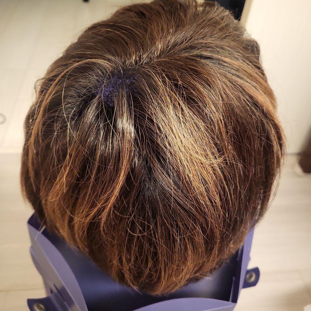 FONTANE ウィッグ ブラウン