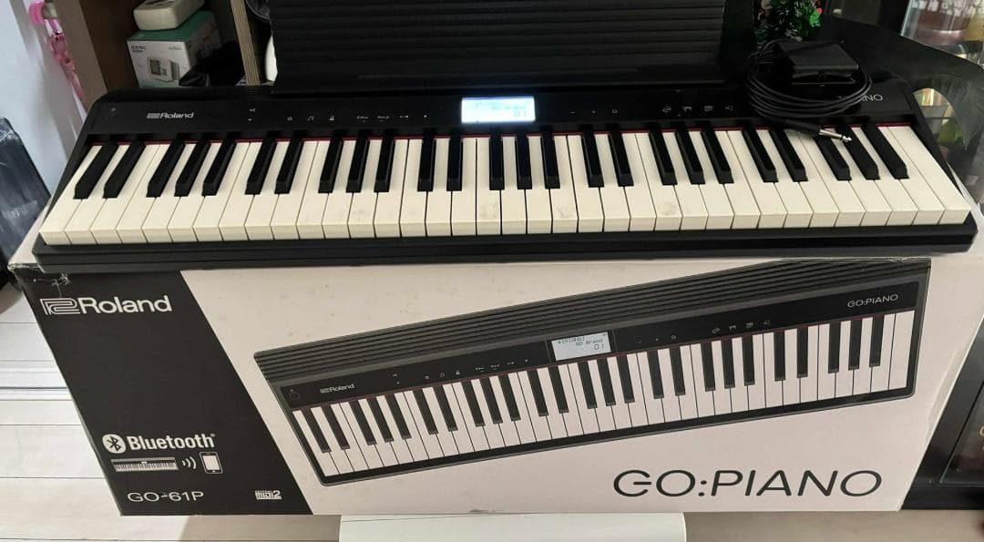 RolandローランドGO-61P 電子ピアノ61鍵盤 GOpiano Used