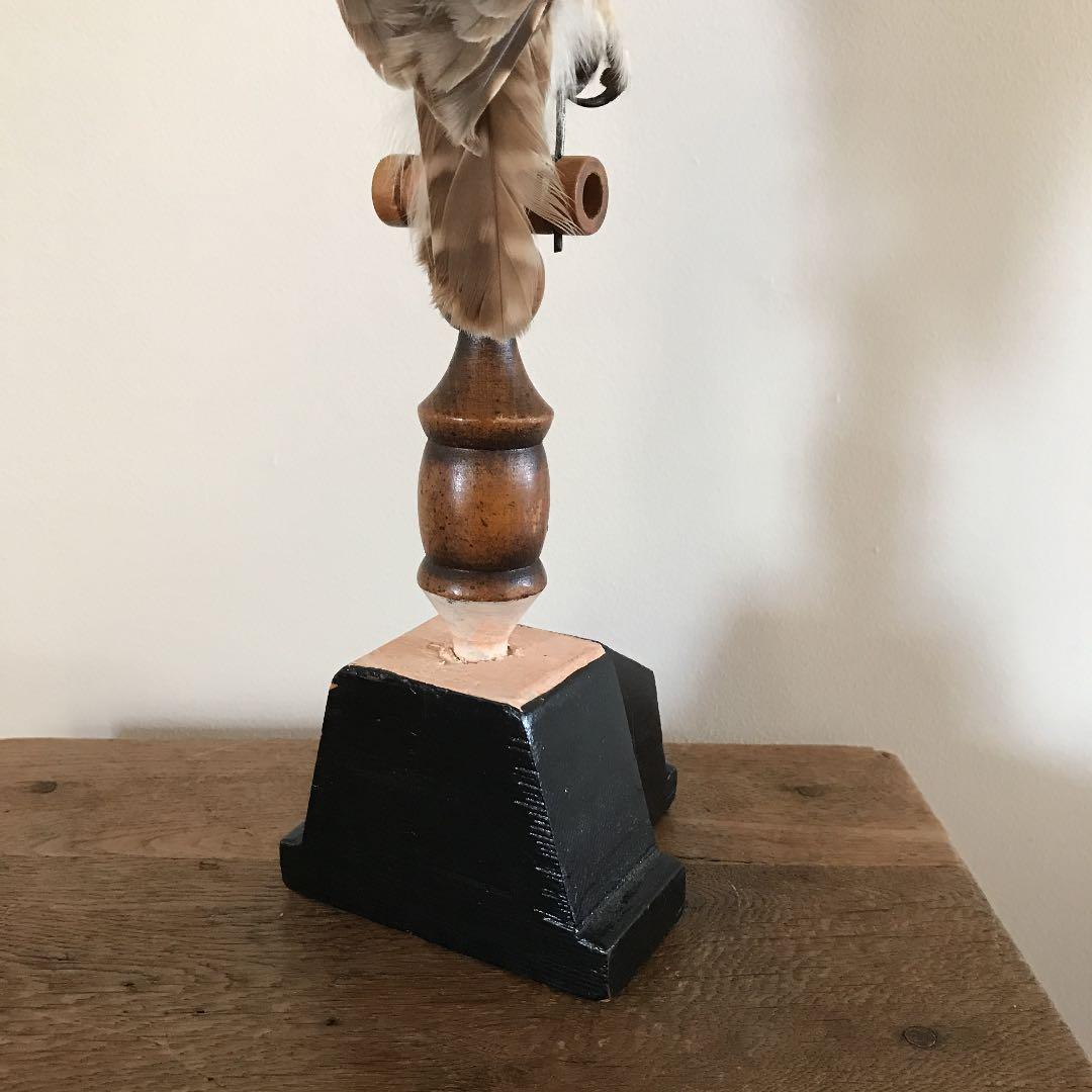 ビンテージ 鳥　オブジェ　レトロ　理科室　書斎　cabinet