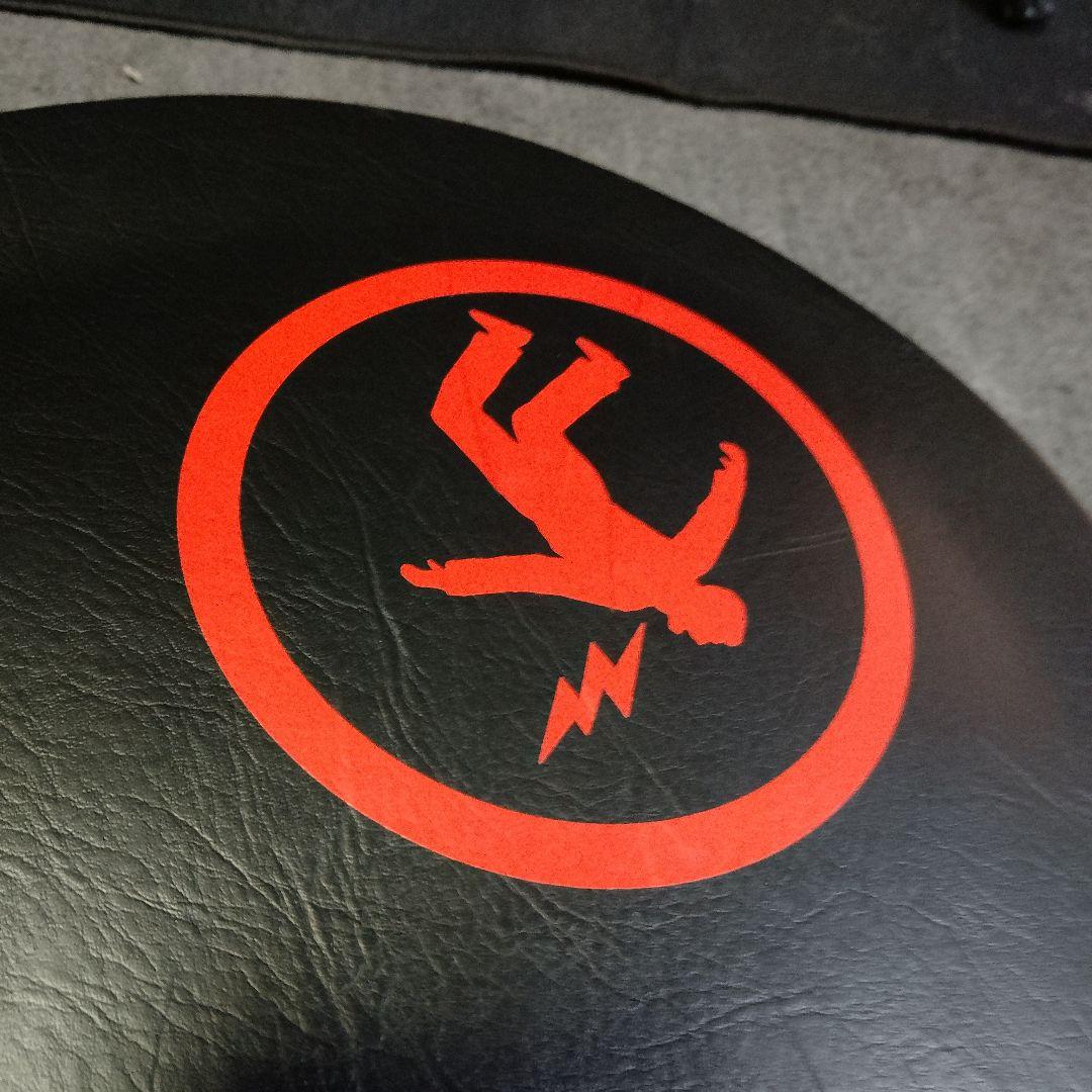 ギター Epiphone Billie Joe Armstrong Les PaulJr