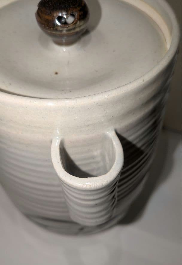 『陽炎園』月に雁絵　耳付き水指　細水指　膳所焼　茶道具　共箱共布　秋月見