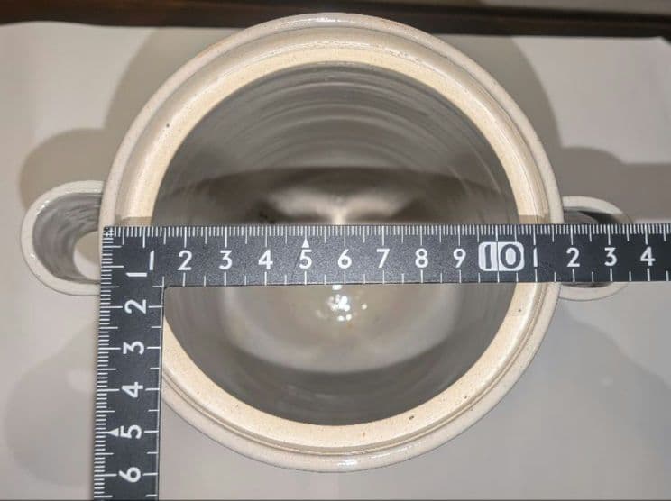 『陽炎園』月に雁絵　耳付き水指　細水指　膳所焼　茶道具　共箱共布　秋月見