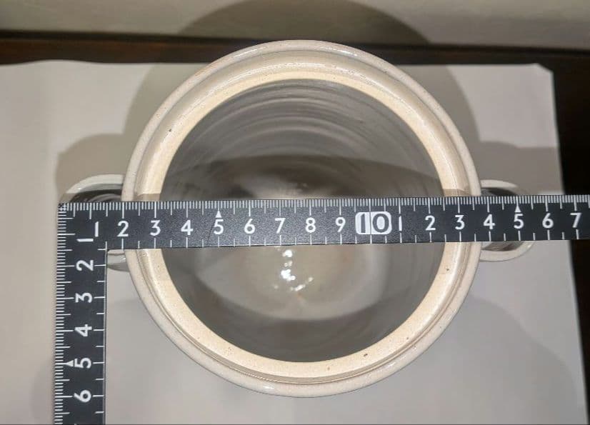 『陽炎園』月に雁絵　耳付き水指　細水指　膳所焼　茶道具　共箱共布　秋月見