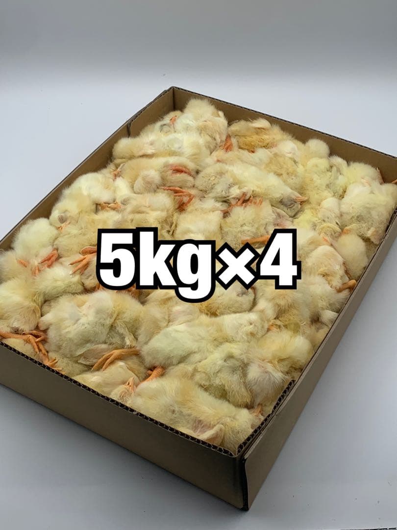 冷凍ヒヨコ5kg×4段【送料込】