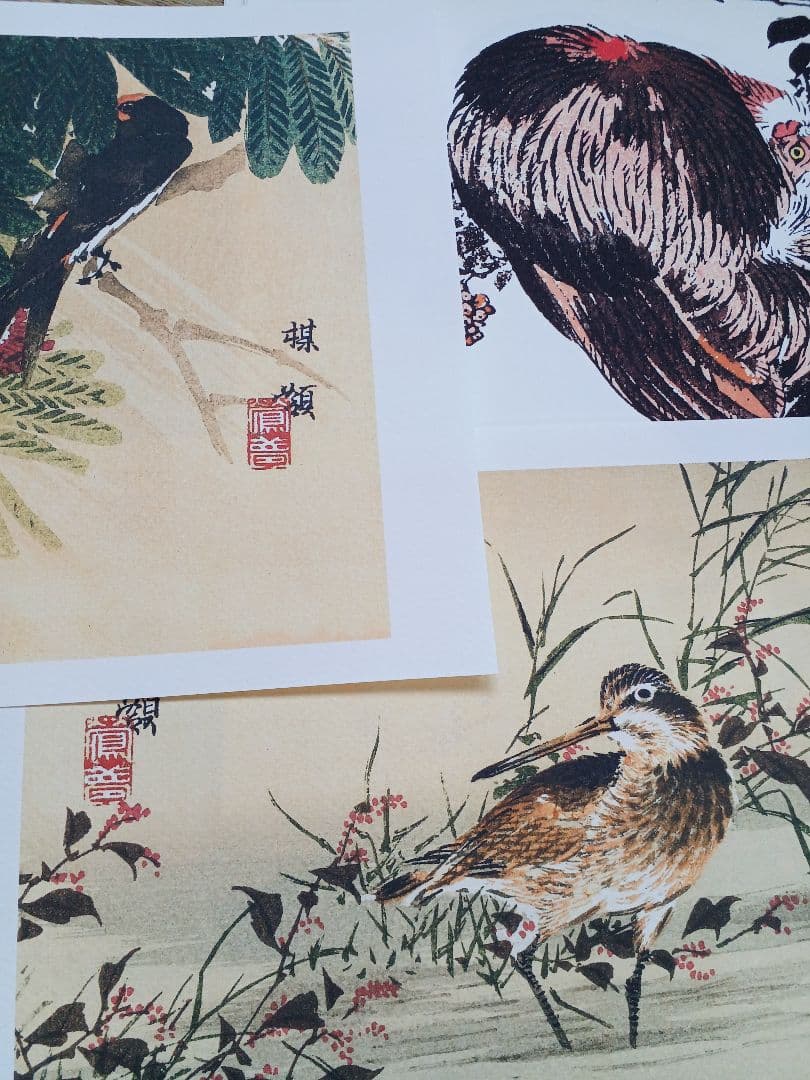 江戸屋版　媒嶺花鳥画譜第1編 27図 手作り古画修復　浮世絵風