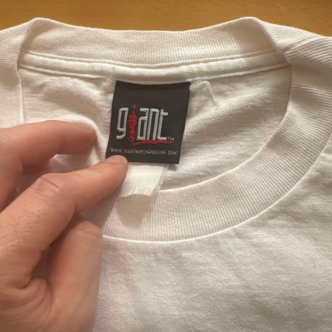 fionaapple フィオナアップル　tシャツ