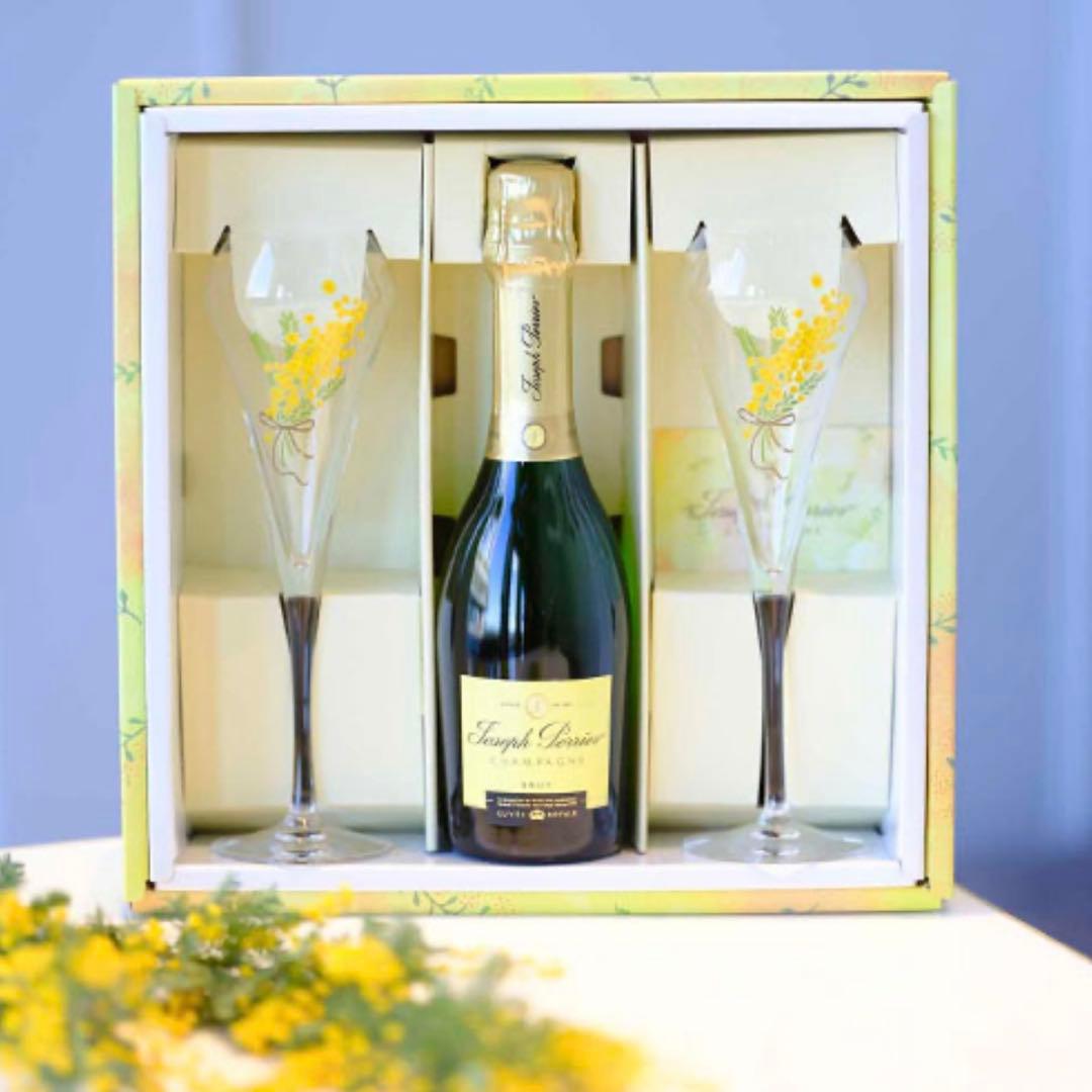 新品　ジョセフ ペリエ ミモザグラスセット