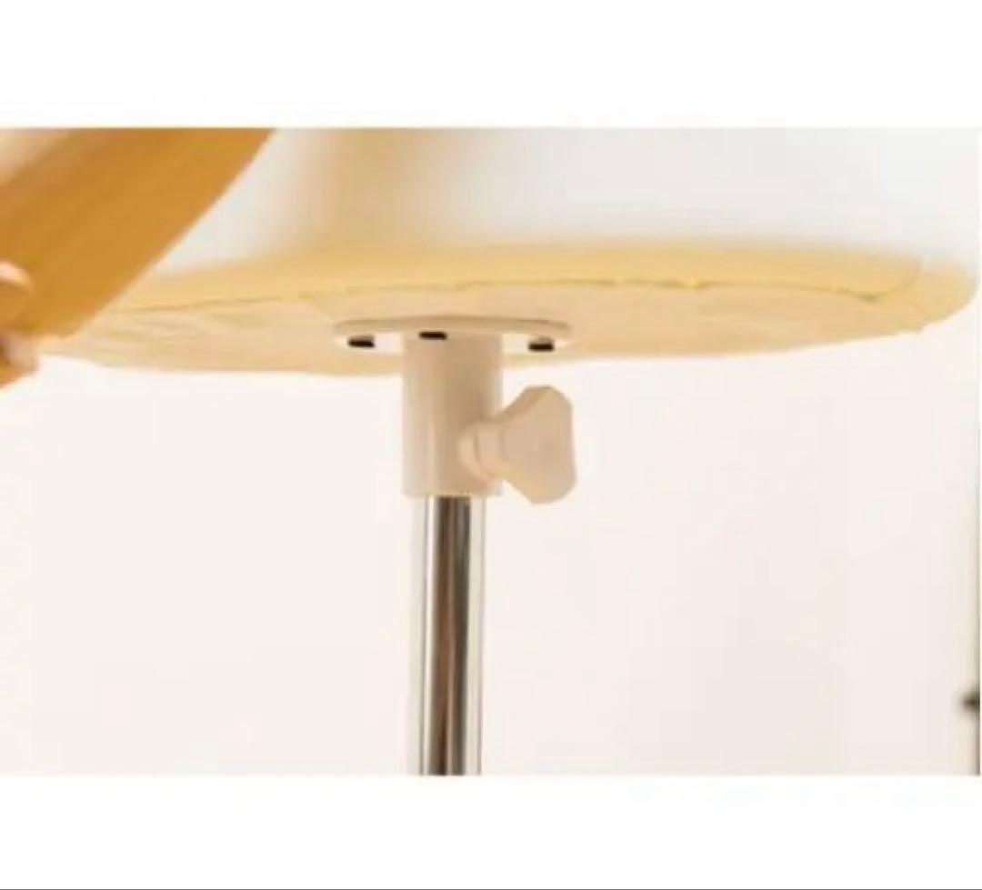 アーム付きトルソー IV