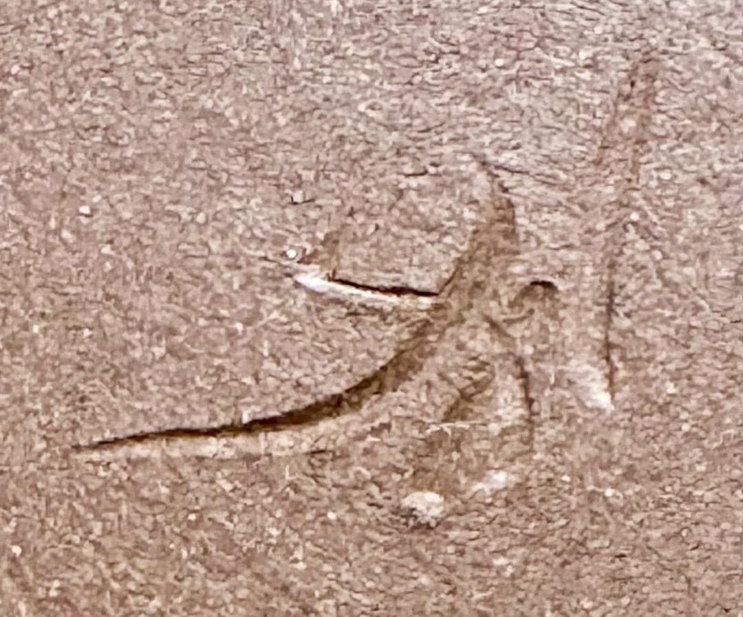 現川焼 十三代 横石臥牛 菓子器 共箱 長崎県無形文化財指定 WWTT418