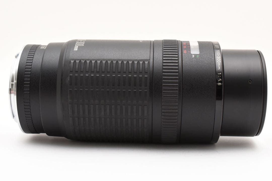 望遠レンズCanon ZOOM LENS EF100-300mm 1:5.6