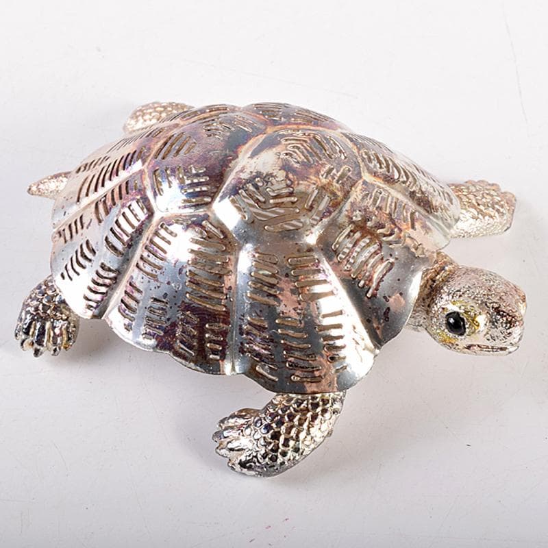 aki　クリストフル　リュミエールダルジャン　亀　M　R7838