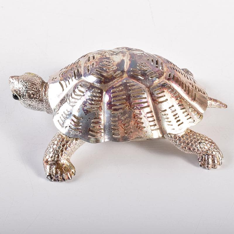 aki　クリストフル　リュミエールダルジャン　亀　M　R7838