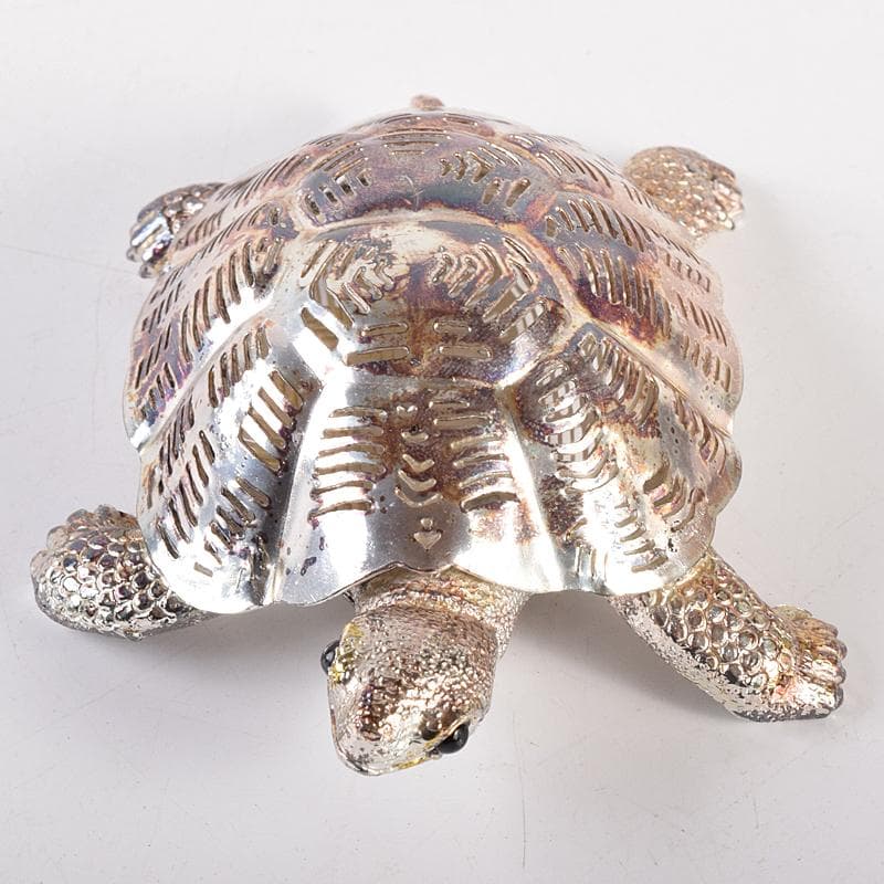 aki　クリストフル　リュミエールダルジャン　亀　M　R7838