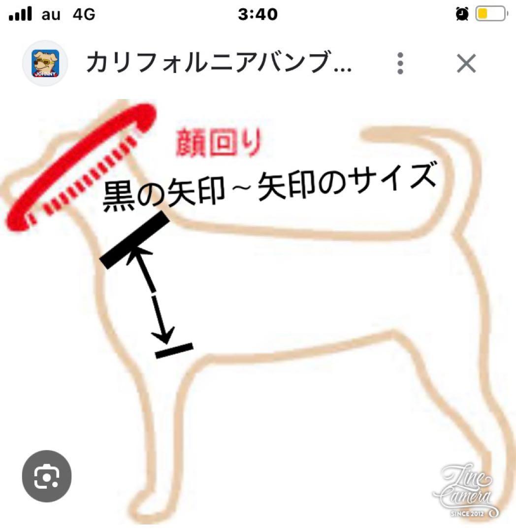 B388.pon2pan2☆犬オーダー☆お引きずりお着物☆犬2ウェイお着物