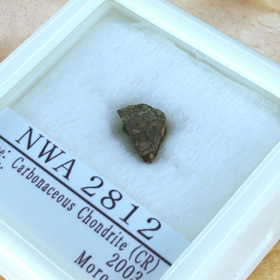 綺麗な炭素質コンドリュール NWA2812隕石標本