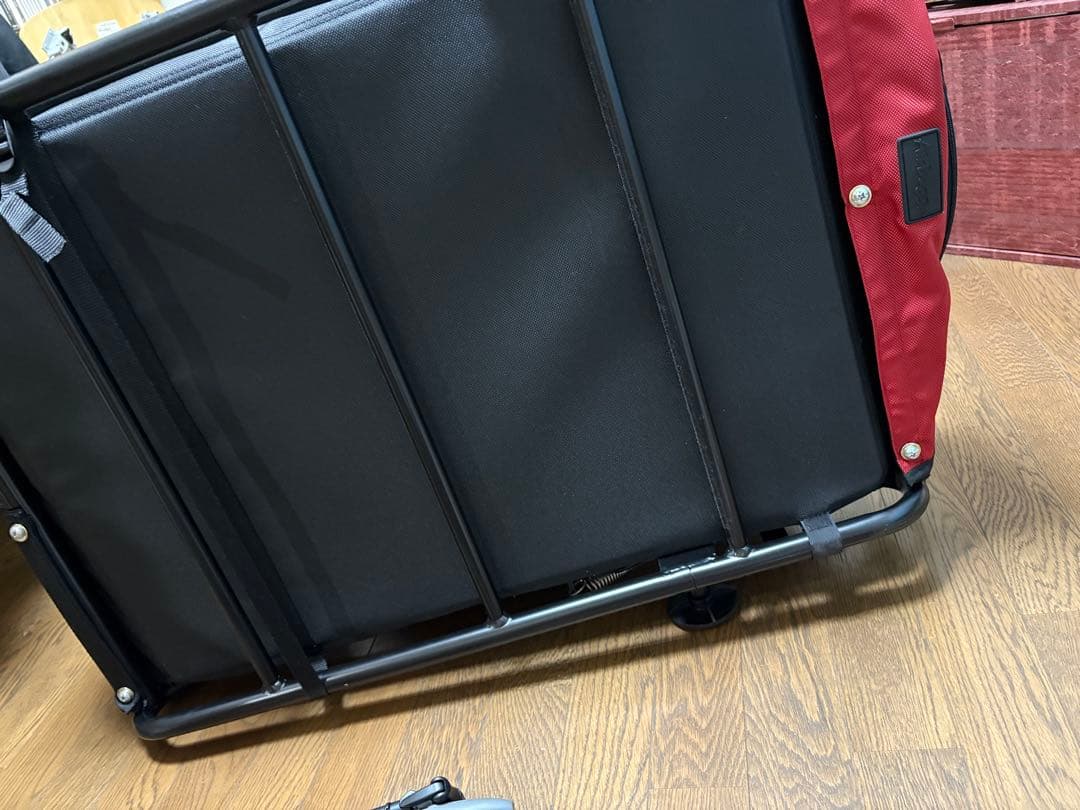 エアバギー　ネストバイク　タンゴレッド　赤