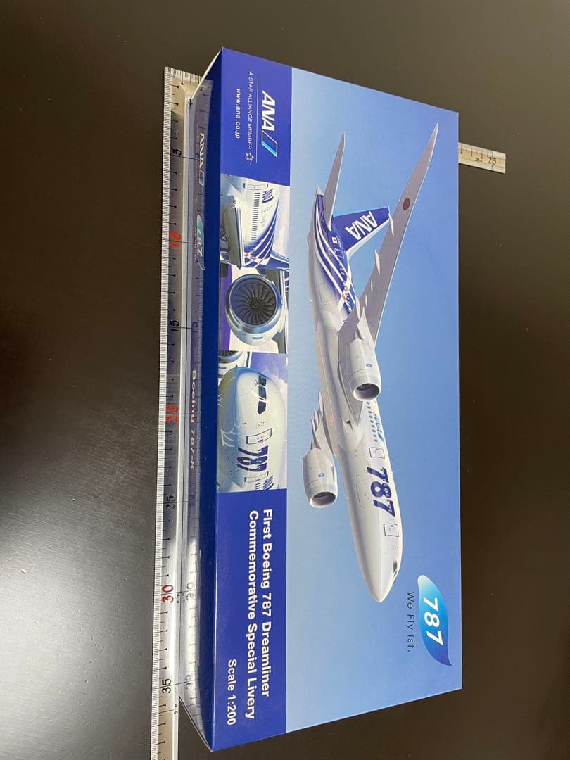ANA B787【特別塗装機/木製スタンド付】