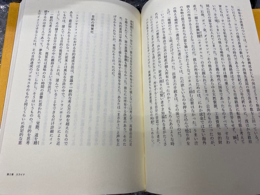 ヴァジムゼランド　リアリティ•トランサーフィン 2 日本語版