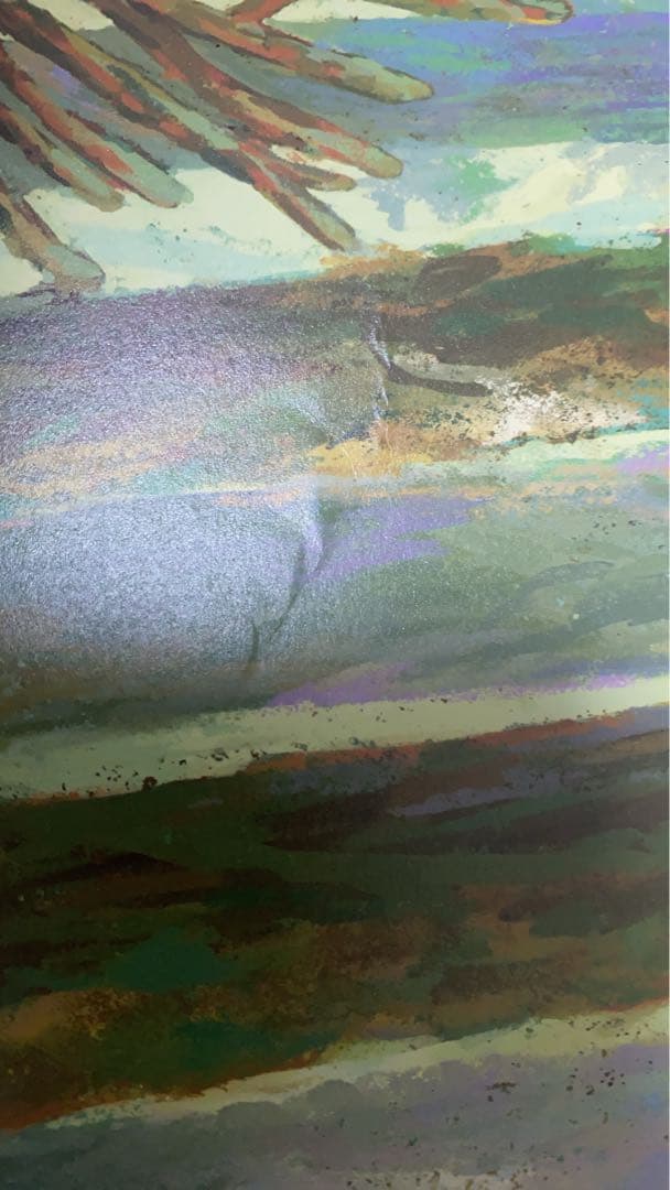 【ジジ☺︎プロフ必読】台湾限定　もののけ姫　ポスター　85x62cm