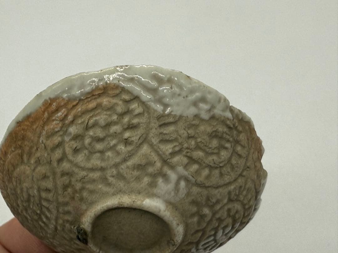 江戸時代　白磁紅皿　アンティーク　送料込み251031