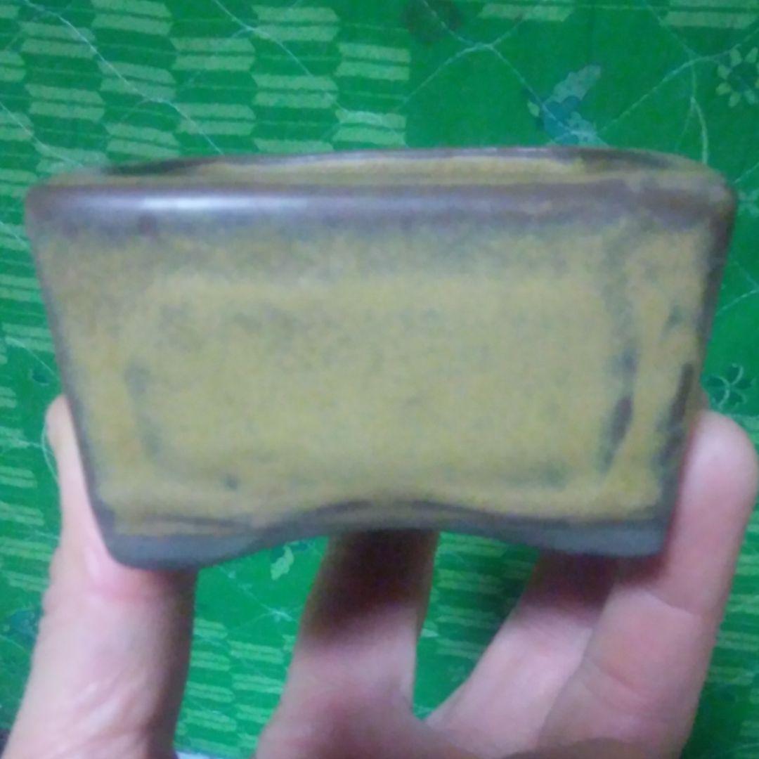 ミニ鉢、盆栽鉢、盆栽小鉢、鉢、植木鉢、山野草鉢、盆栽