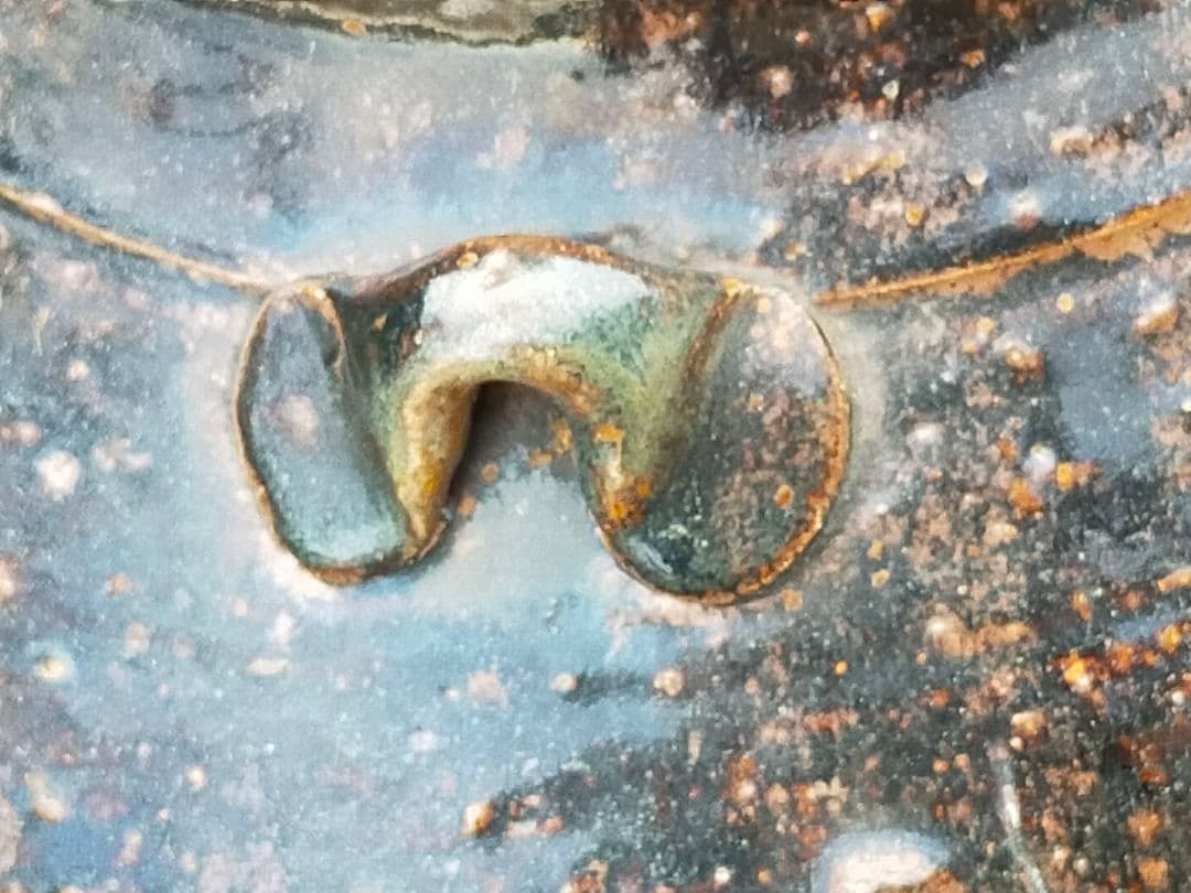 ♥古瀬戸　三耳壺　壷　４７３ｍｍ　花瓶　骨董　古玩　中国