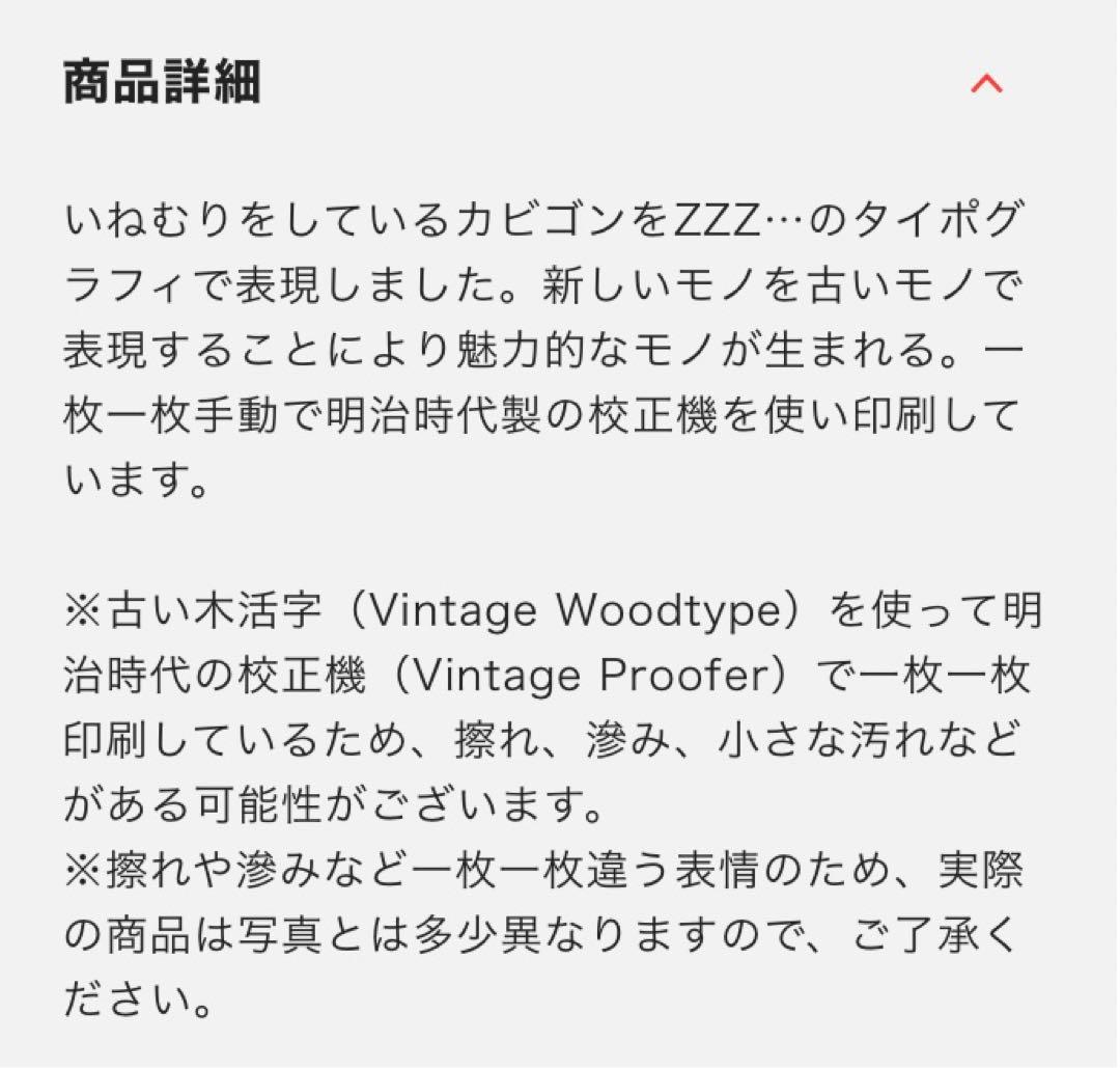 【レア】KABIGON POSTER 活版印刷ポスター＜ＺＺＺ...＞　額装付き